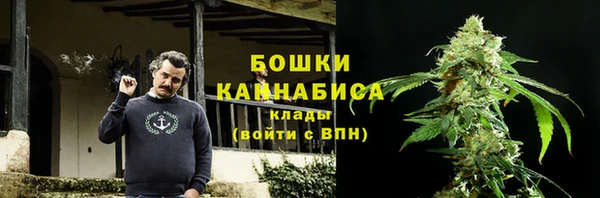 шишки Алзамай