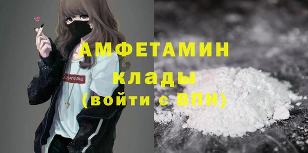 шишки Алзамай
