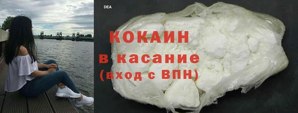 шишки Алзамай