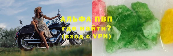 шишки Алзамай
