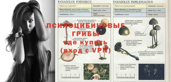 ПСИЛОЦИБИНОВЫЕ ГРИБЫ Алексин