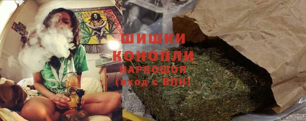 шишки Алзамай