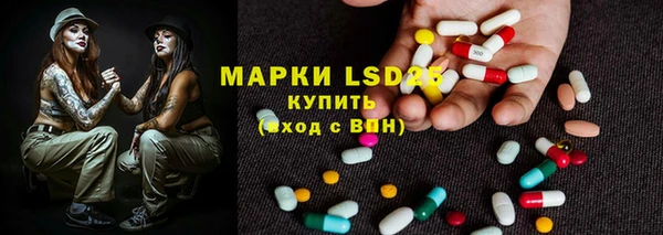 шишки Алзамай