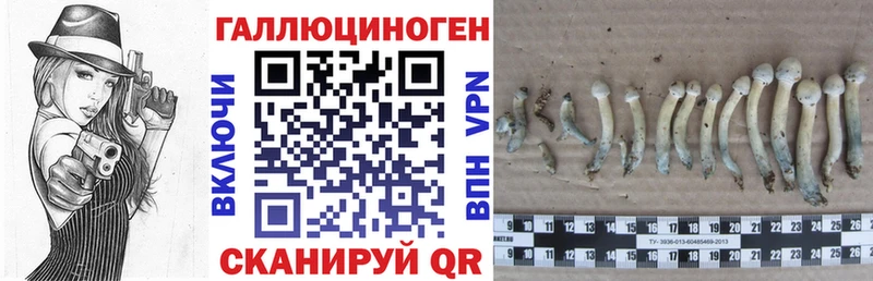 OMG ONION  Крымск  Псилоцибиновые грибы GOLDEN TEACHER 